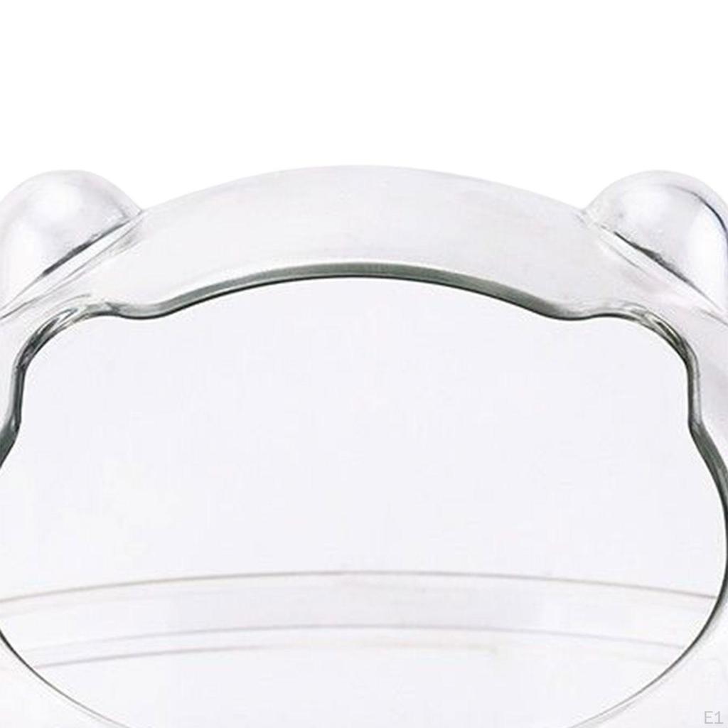 Przezroczysta Wanna z Piaskiem dla Chomików i Małych Zwierząt