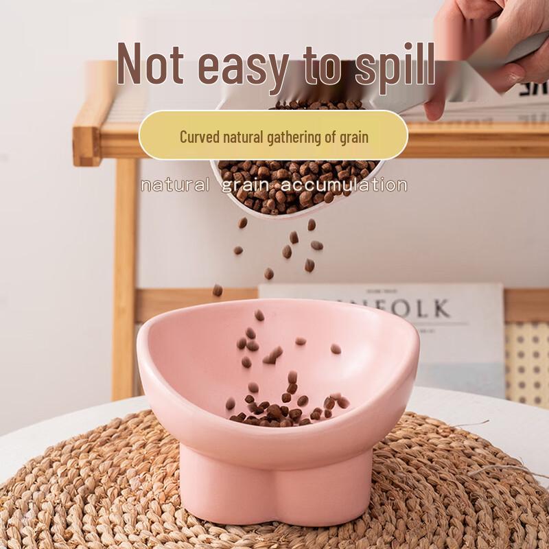 Changbaosen Ceramic Elevated Slanted Pet Bowl
