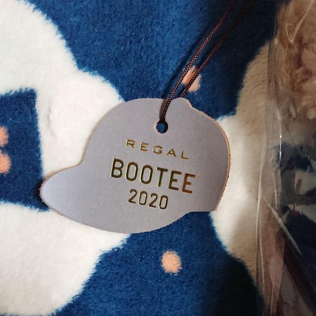 [USED] Regal 2020 Novelty Teddy Bear