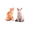 Creative Bedding Neck Protection Napping Sleep Cat Shape Throw pillow Cushion Home Textile Pillow
