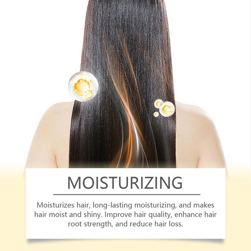 Hoegoa Nourishing Hair Oil For Shiny Dry Hair Lightweight Non Greasy Care 60ml