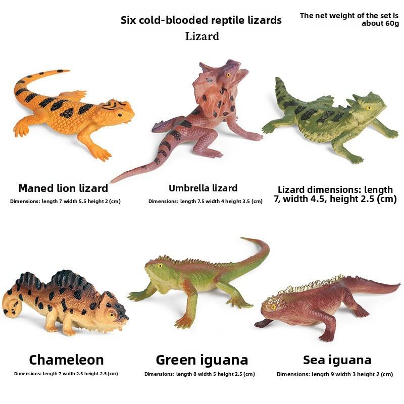 Marine Animal Model Set Plastic Realistic Ocean Creatures For Collectors And Kids