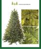 Green PE Christmas Tree, 1.2-2.4m for Home and Hotel Decoration