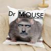 Funny House Rat Meme Pillow Case Natural Linen DoubleSided Printing Sofa Home Decor Cushion Cover