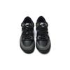 Nike Dunk Abrasion Resistant Low top Skateboard Shoes Unisex Black Gray HF5441-100(Team575-)
