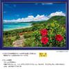 YANOMAN In Jigsaw Sea and Summer Ishigaki Island Includes Piece Request Service and Jigsaw Puzzle Instruction Manual [Made Japan] 500-piece Puzzle,