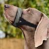 Dog Mouth Guard for Medium Large Secure Halter Anti-Biting Nylon Strap Anti-Chewing Adjustable Dog Muzzle