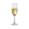 Crystal Cocktail and Wine Goblet