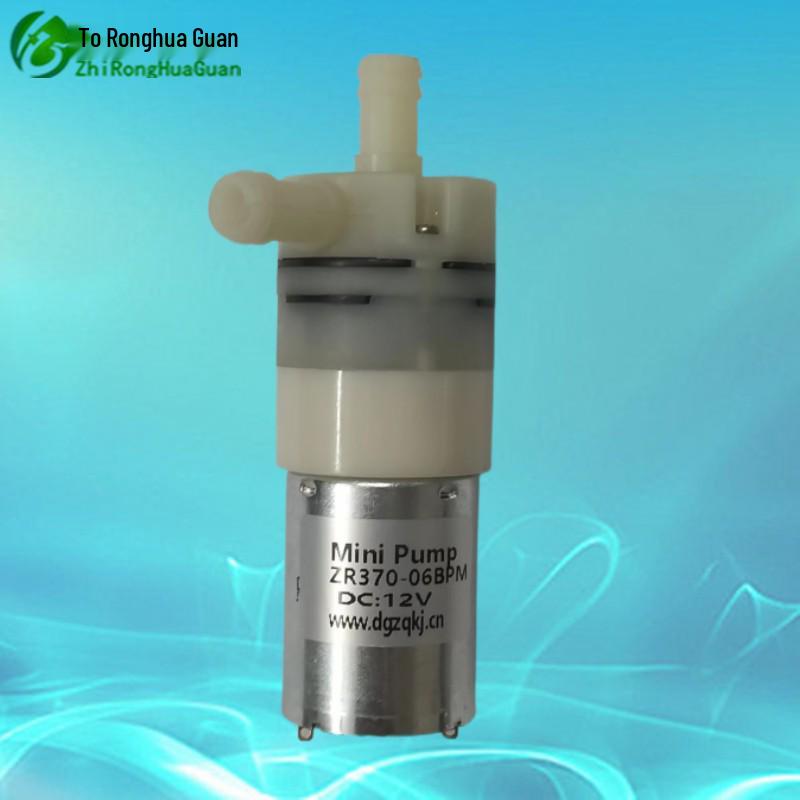 Ronghua Guan 12V/24V Mini Water/Vacuum Pump - Model 370