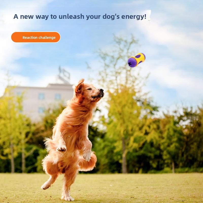 Natural Rubber Multi-functional Dog Toy for Leaking and Hiding Food, Teeth Grinding and Cleaning