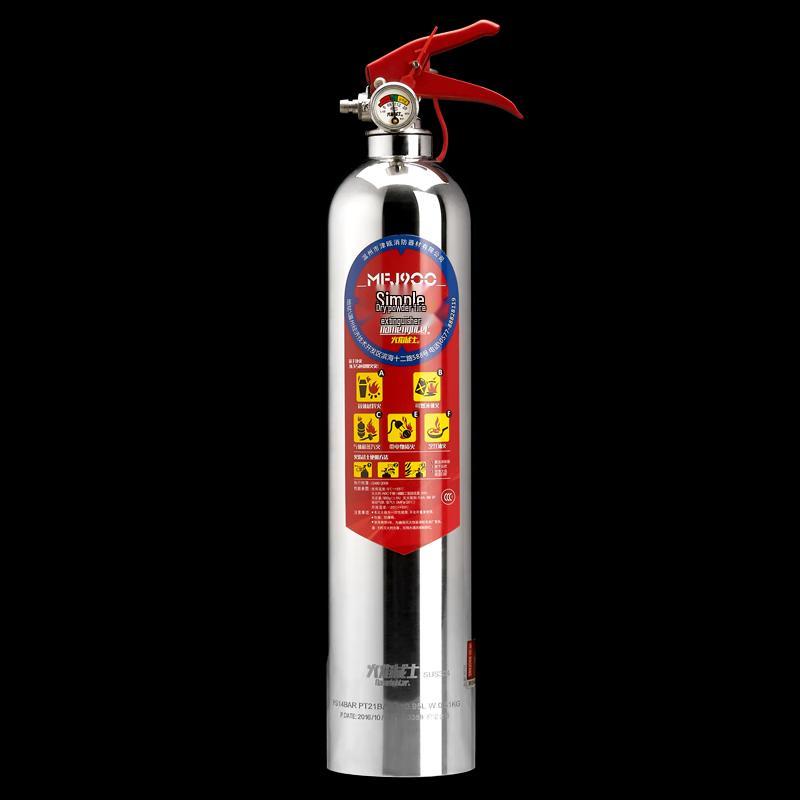 Flame Fighter Portable Dry Powder Fire Extinguisher 700g