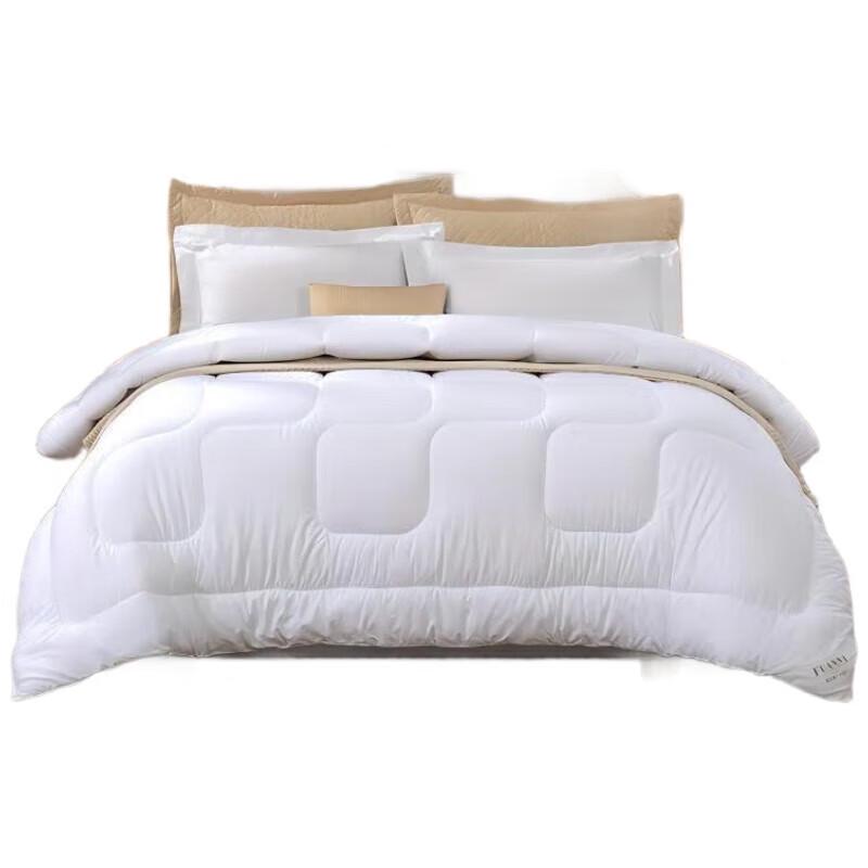 Fuanna Delightful Warm Core Brushed Fiber Quilt