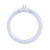 Lampade Tubi Annulari T4 Rotondi 11W Lampadina Tubo Fluorescente ad Anello con 4 Pin