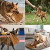 Cães – Brinquedos para cães