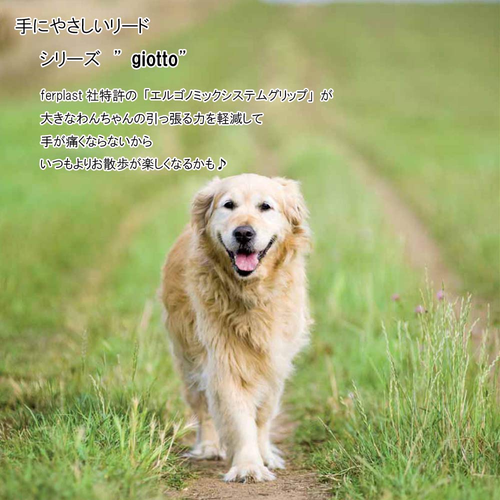 Ferplast Giotto Lead, Black, for Extra Large Dogs, G25/120
