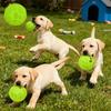 Giocattolo Squeaky Durevole in TPR per Animali Domestici, Pulisce i Denti, Brilla al Buio, Pallina Giocattolo per Cani, Intrattenimento Notturno e Sollievo dalla Noia