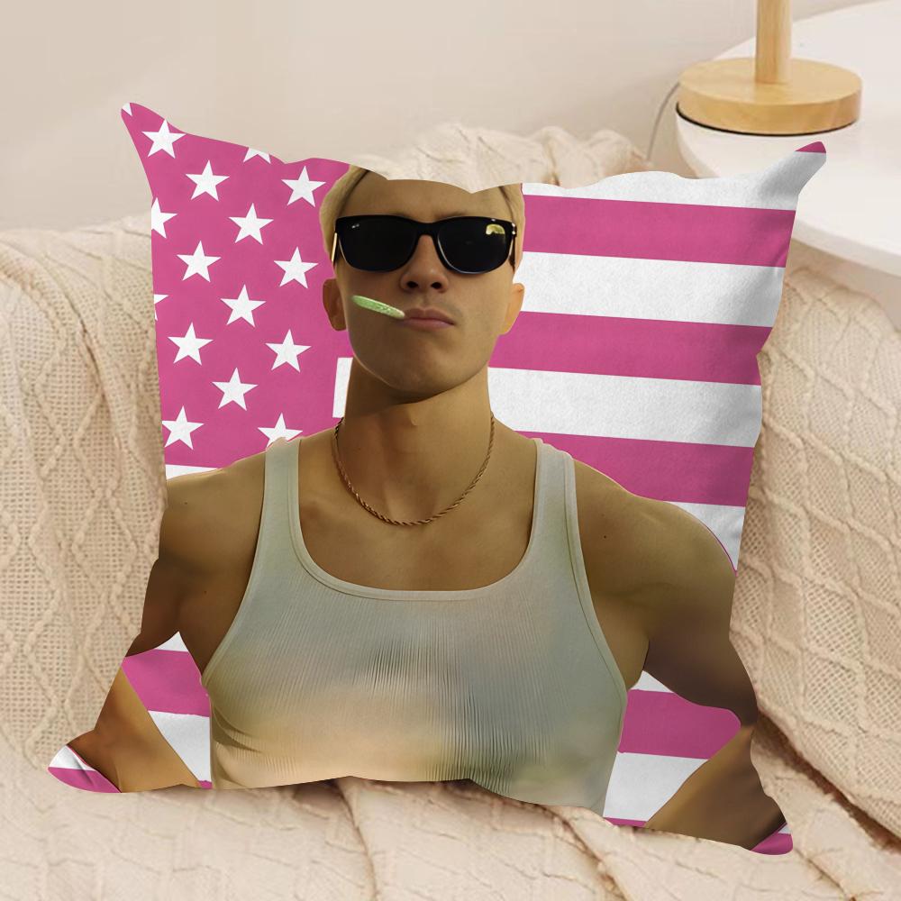 DDrews Starkey Singer Cushion Cover Silky Short Plush Invisible Zipper Dustproof Sofa Pillow Case For Home Decor