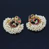 Retro Indian Bollywood Earrings Ethnic Style Earrings Kundan Peacock Jhumka Jhumki Drop Earring Gypsy Jewelry Decoration