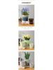 Nordic Style Large Ceramic Flower Pot for Money Tree, Pothos, and Clivia