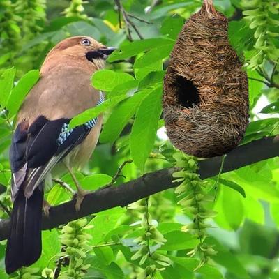 Bird Nest Bite-Resistant Moisture-proof Reusable Strong Construction Compact Resting Nest for Tree