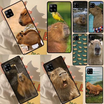 Fundas para móviles – Parachoques para smartphones