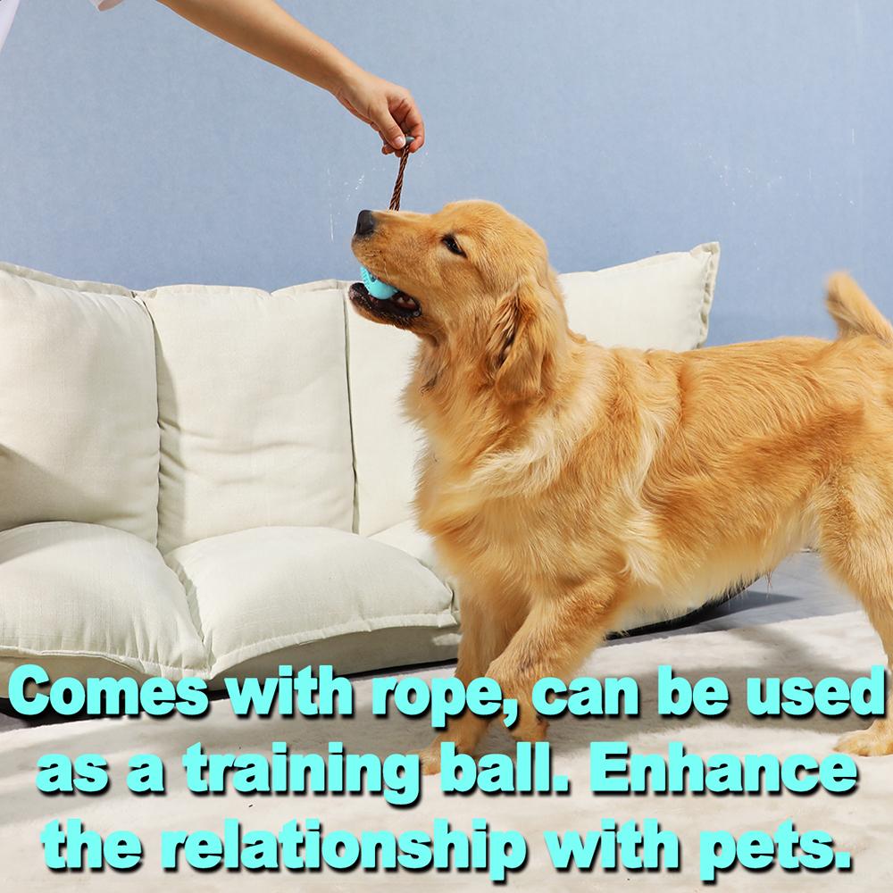Hund Interaktives Gummi-Spielzeug für Große Kleine Hunde Katzen Kauen Zahnreinigung Golden Labrador Retriever Training Haustierzubehör