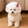 Adjustable Cat Head Covers Cartoon Puppy Dress Up Funny Pet Dumpling Hat  Photography Shoots