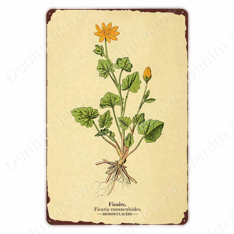 VintageWildFlowersMetalSign Vintage Metal Tin Sign - Wild Flowers Plant Herbarium Art Plaque, Kitchen/Home Wall Decor