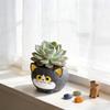 Black Cats Design Resin Flower Pot With Drainage Hole For Succulents Indoor Plant Small Planter Home Garden Decoration