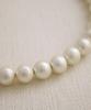 [VINGTAINE] VINGTAINE Necklace Cotton Pearl Short 10mm Choker Kiska C3268A White