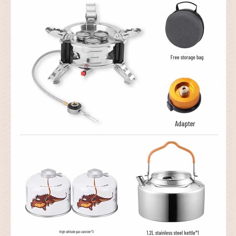 Portable Windproof Camping Gas Stove Kit