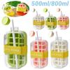 2 In 1 Ice Cube Maker Water Bottle with Straw 500ML/800ML Summer Cooler Cup Silicone Molds Ice Cube Tray for Outdoor Camping