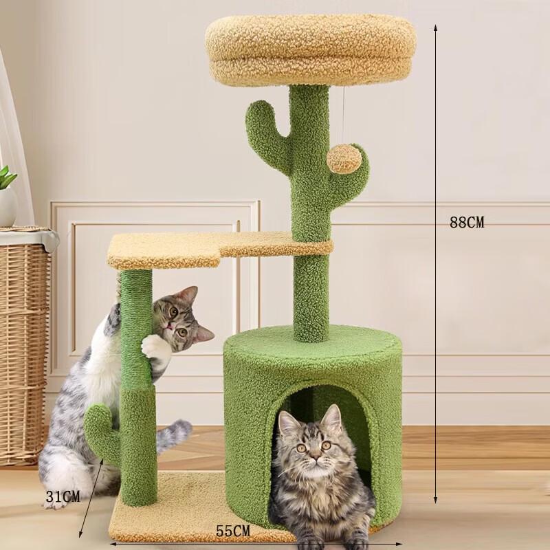 Yin Xiaoshi Cactus Cat Tree with Scratching Post
