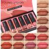 6 Pcs /set YOUNG VISION Matte Lipstick Gift Box Set Non Stick Cup Lipstick Velvet Moisturizing Lipstick