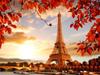 5d Diamond Painting Mosaic Paris Tower Landscape Home Decor Embroidery Tree Scenery Full Square/round Wall Sticker
