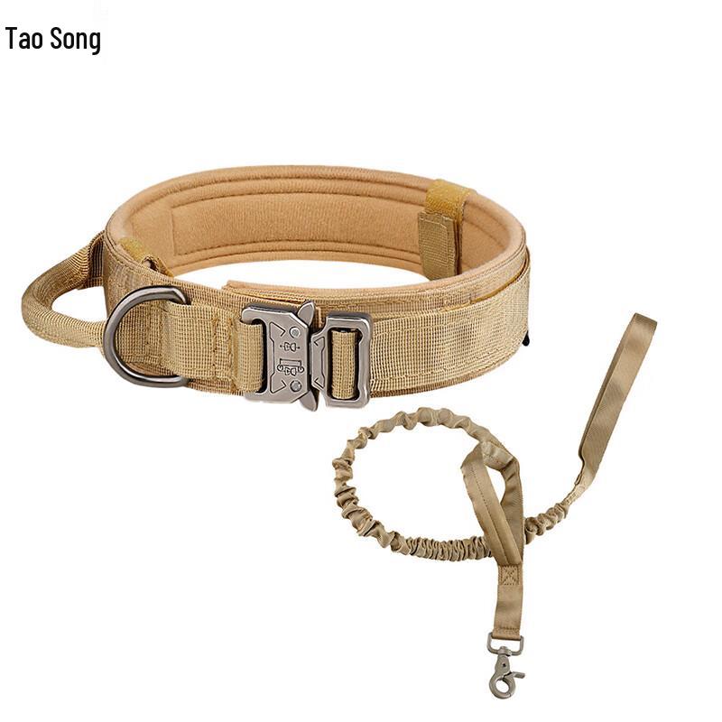 Adjustable Outdoor Pet Collar and Leash Set