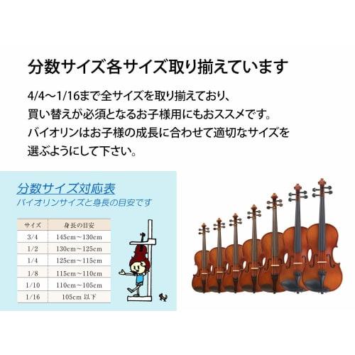 Carlo Giordano VS-1 4/4 Violin Set