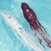 Poulpe Octopu Électrique Manchot Dauphin Robotique Otarie Animaux Électriques Octopu Dans l'Eau Piscine Jouet de Bain pour Bébé Cadeau pour Enfants
