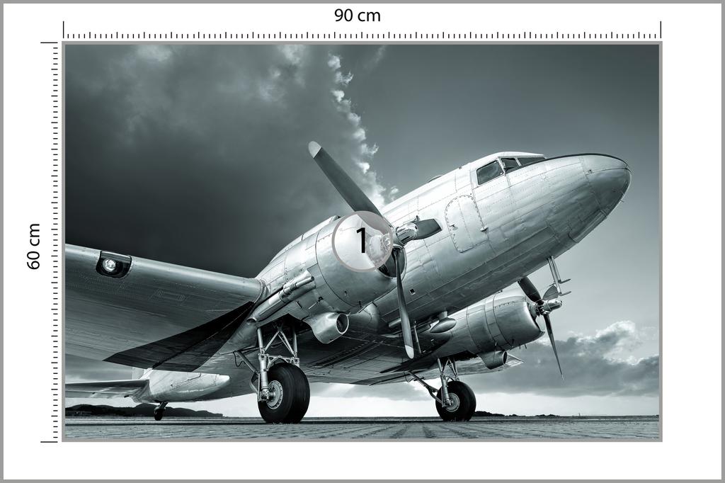 Photomural Propeller Airplane Smooth Vinyl 90x60