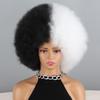MISSQUEEN Duhová kudrnatá afro paruka pro děti Ženy Kudrnatá afro paruka ze syntetického vlákna Cosplay Denní nošení Kinky Curly Paruka