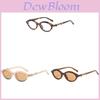 Sunray Elliptical Womens Fashion Sunglasses With Uv400 Protection For Outdoor Activities