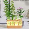 With Wood Stand Plant Propagation Station 3 Color Light Adjustable Transparent Propagation Tube Flower Arrangement 4 Tube Vases
