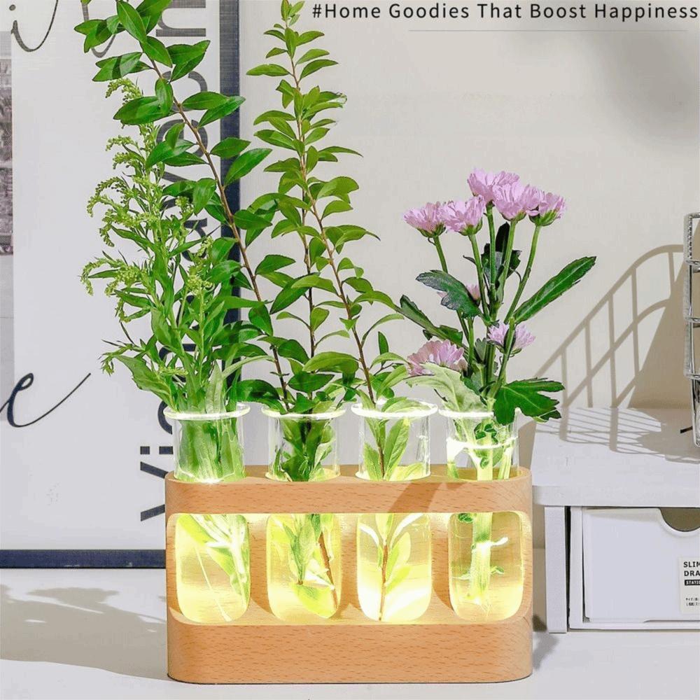 With Wood Stand Plant Propagation Station 3 Color Light Adjustable Transparent Propagation Tube Flower Arrangement 4 Tube Vases