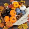 12Pcs Mini Artificial Pumpkins Fall Table Decor Fill Vases Halloween Decorations