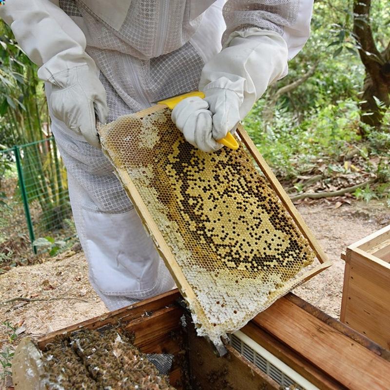 18 Prong Stainless Steel Honeys Uncapping Fork With Ergonomic Plastic Handle For Beekeeping Efficiency