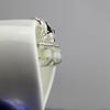 Fashion Dried Flower Earrings Jewelry Natural Dandelion Glass Ball Charm Earrings For Women Jewelry Gifts