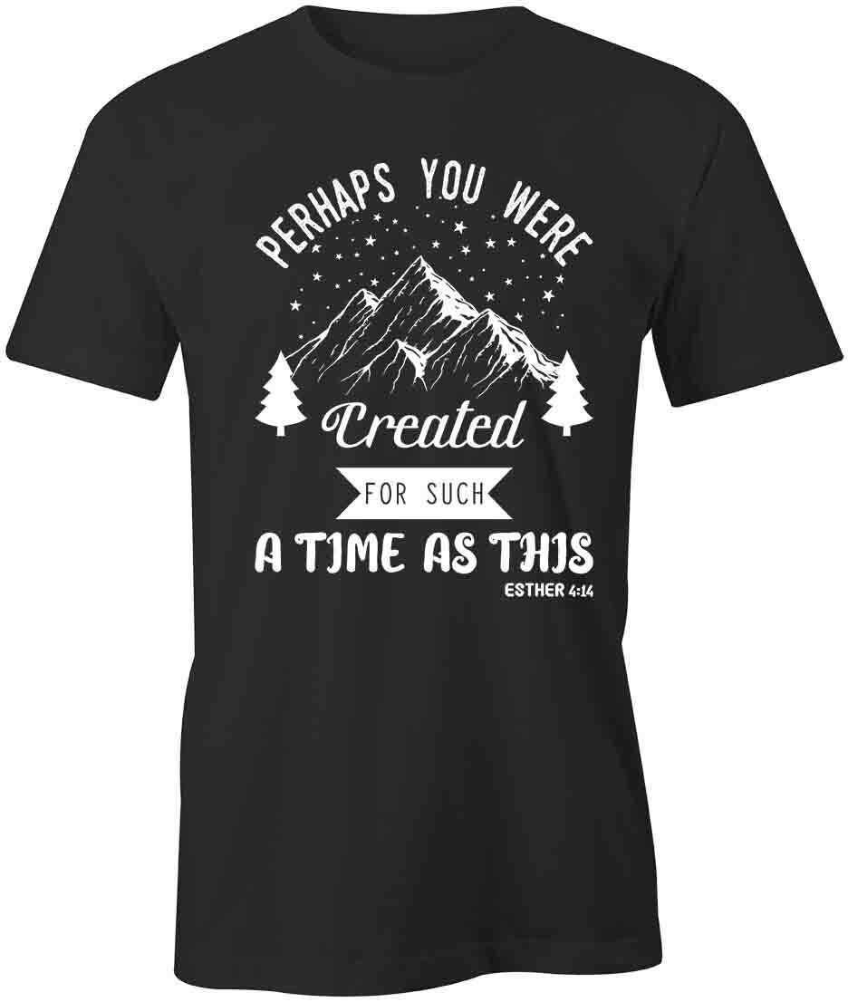 CREATED FOR THIS TShirt Tee Short-Sleeved Cotton CLOTHING CHRISTIAN S1BSA96 S