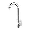 Qianxing Kitchen 2-in-1 Hot and Cold Water Sink Faucet