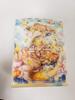 Bushiroad Deck Holder Collection V2 Vol.680 Cardfight!! Vanguard "Colorful Pastorale Caro