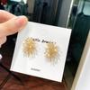 Silver Needle Fireworks Zircon Earrings Metal Diamond Stud Earrings Temperament Versatile Earrings Women